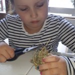 phoca_thumb_m_m.h.   28 Fotogalerie